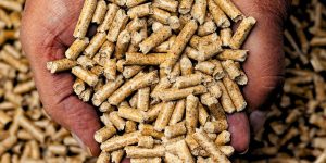 Pellets mejor caldera Córdoba