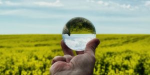 oleaginosas sostenible Córdoba